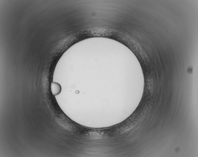 X0000116830690201001151226