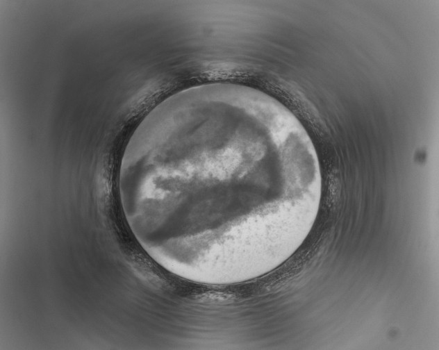 X0000116830691201001151226