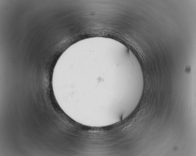 X0000116830693201001151226