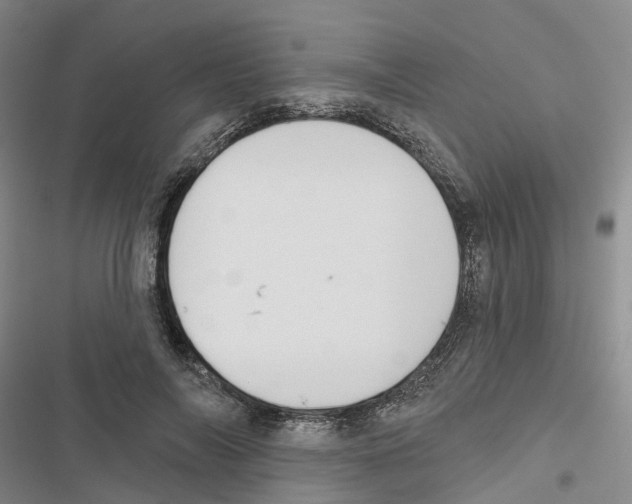 X0000116830694201001151226