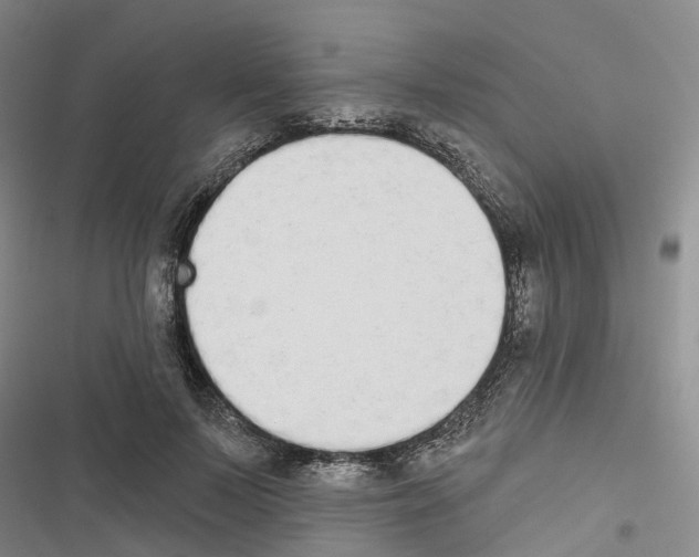 X0000116830695201001151226