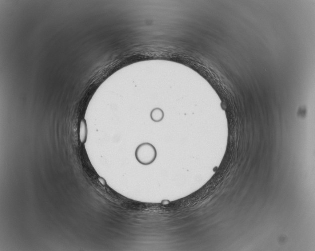 X0000116830696201001151226