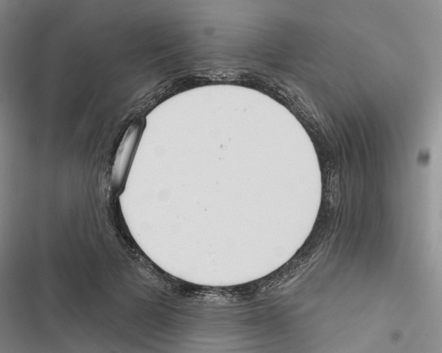 X0000116830697201001151226