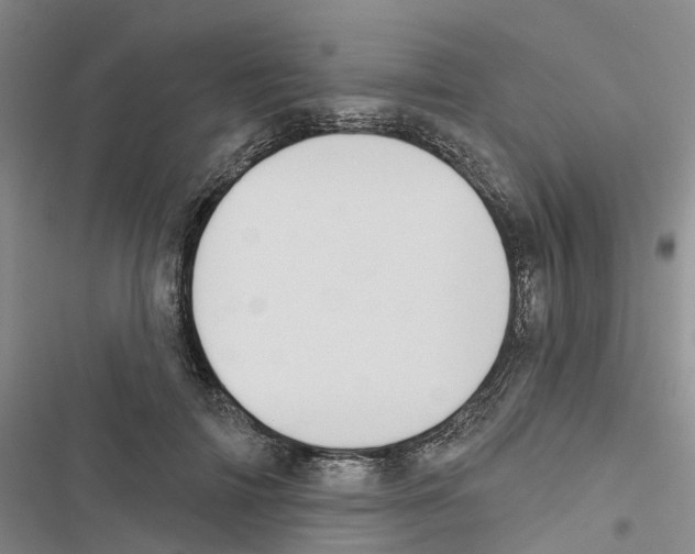 X0000116830698201001151226