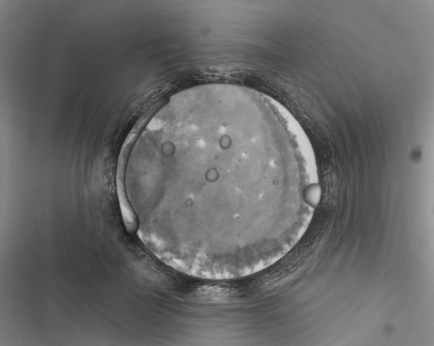 X0000116830699201001151226