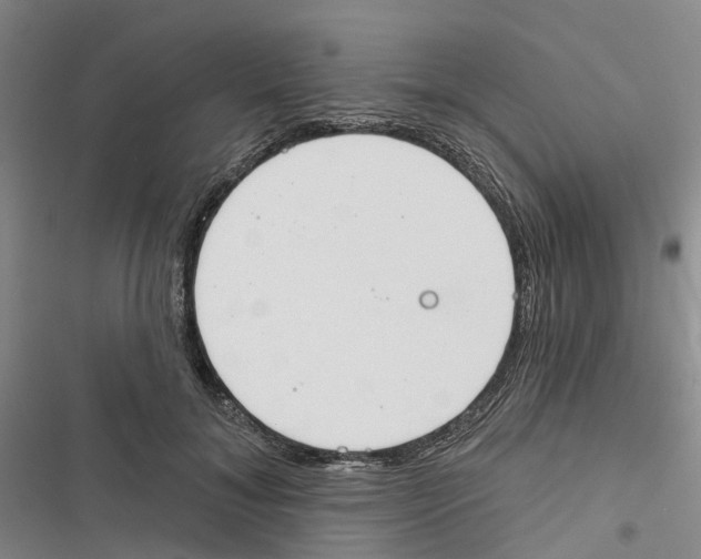 X0000116830700201001151226