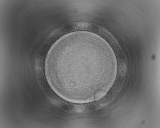 X0000116830701201001151226