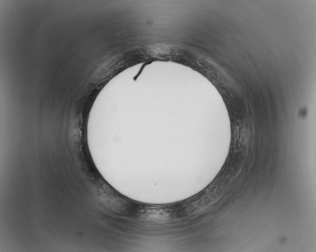 X0000116830702201001151226