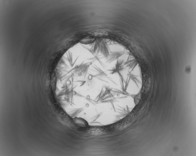 X0000116830704201001151226