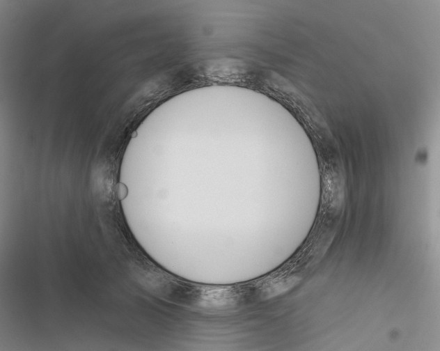 X0000116830705201001151226