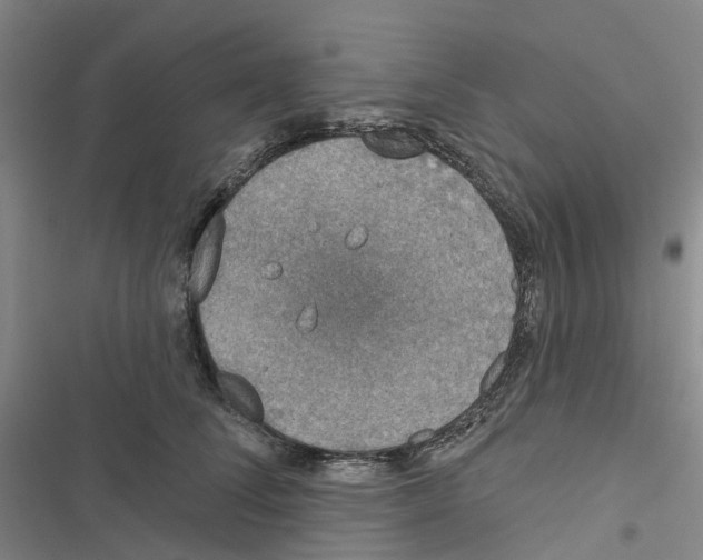 X0000116830708201001151226