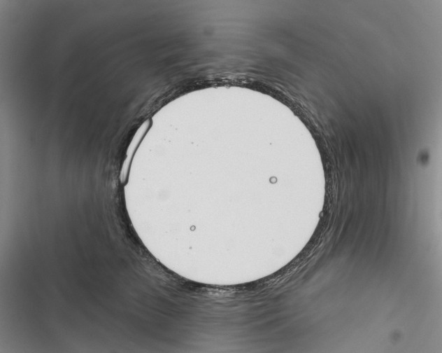 X0000116830709201001151226