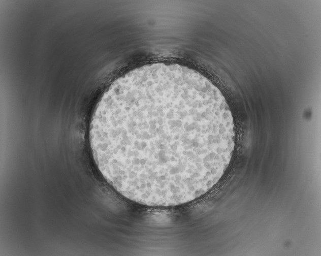 X0000116830710201001151226