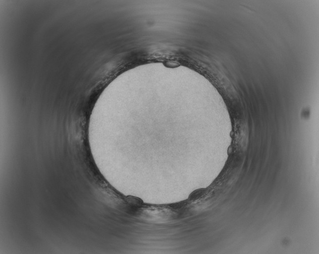 X0000116830712201001151226