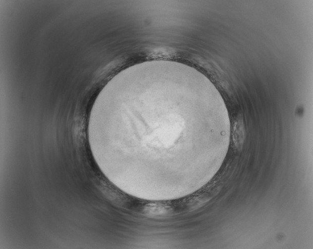 X0000116830714201001151226