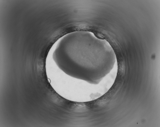 X0000116830715201001151226