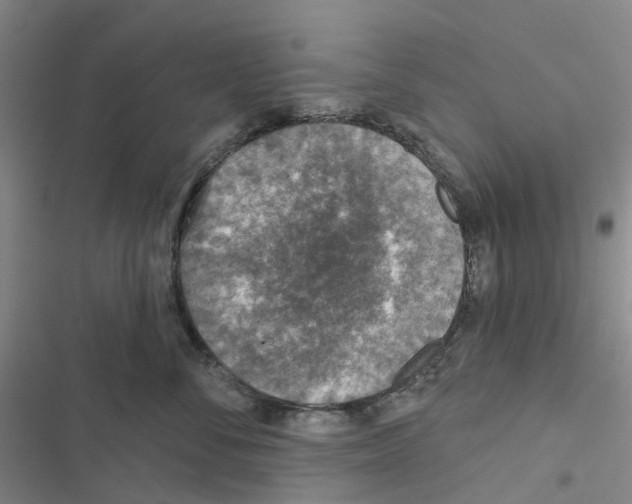 X0000116830716201001151226