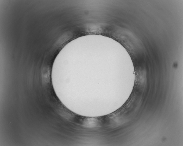 X0000116830717201001151226