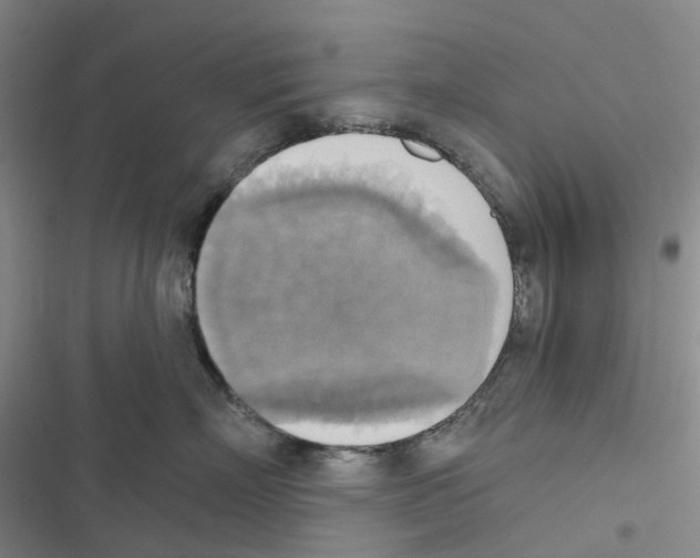 X0000116830718201001151226