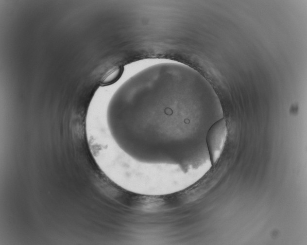 X0000116830719201001151226