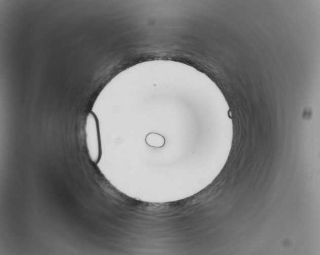 X0000116830720201001151226