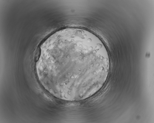 X0000116830721201001151225