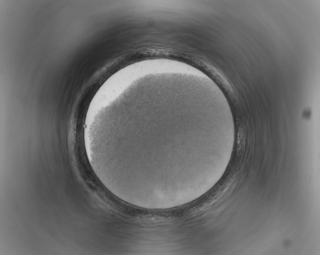 X0000116830722201001151225