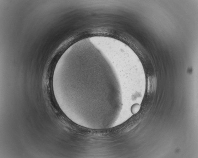 X0000116830723201001151225