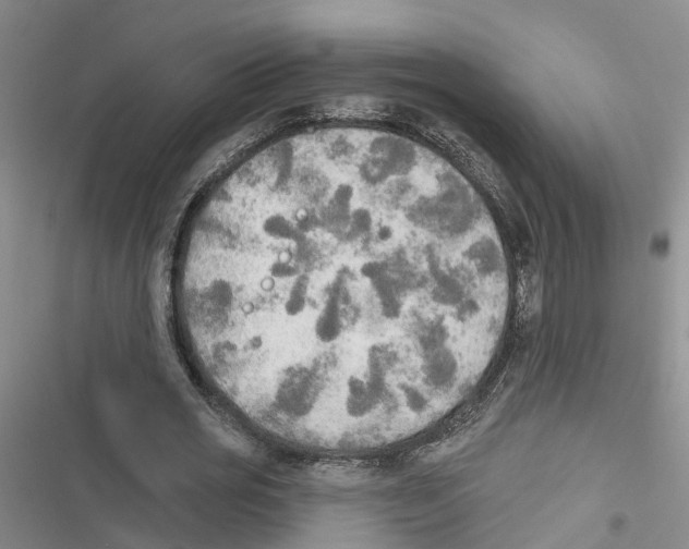 X0000116830725201001151225