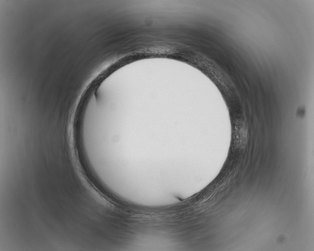 X0000116830726201001151225