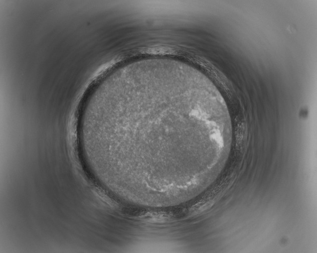 X0000116830727201001151225