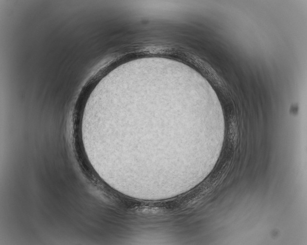 X0000116830730201001151226