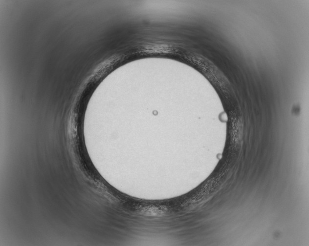 X0000116830731201001151226