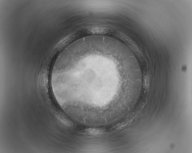 X0000116830733201001151226