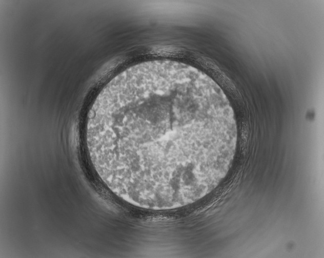 X0000116830734201001151226