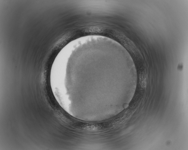 X0000116830735201001151226