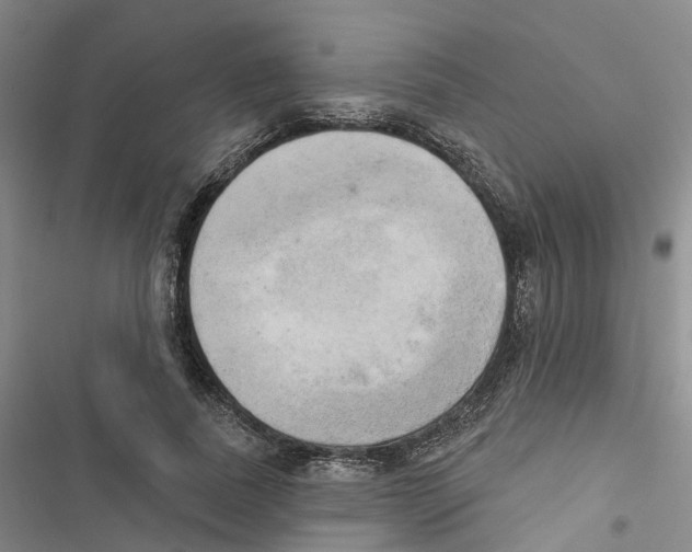 X0000116830739201001151226