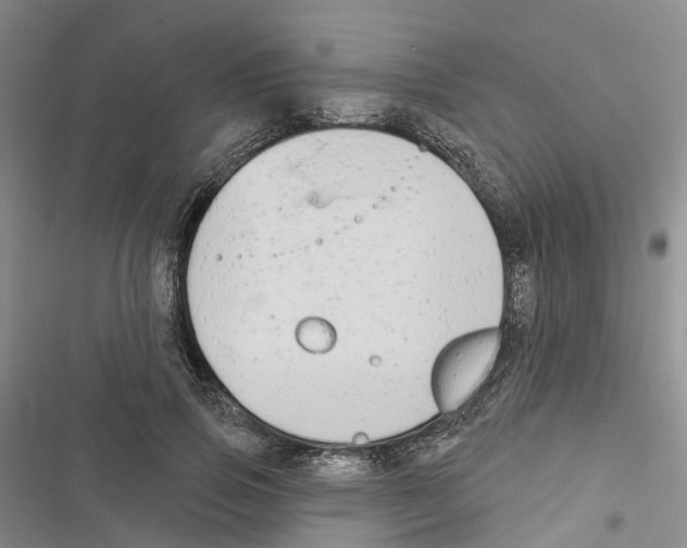 X0000116830741201001151226