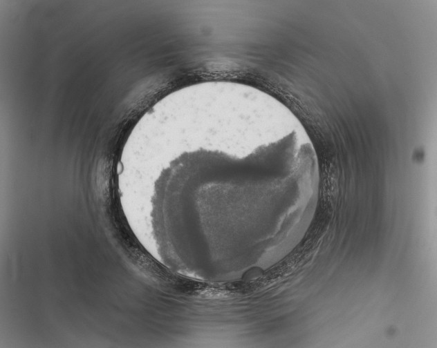 X0000116830742201001151226