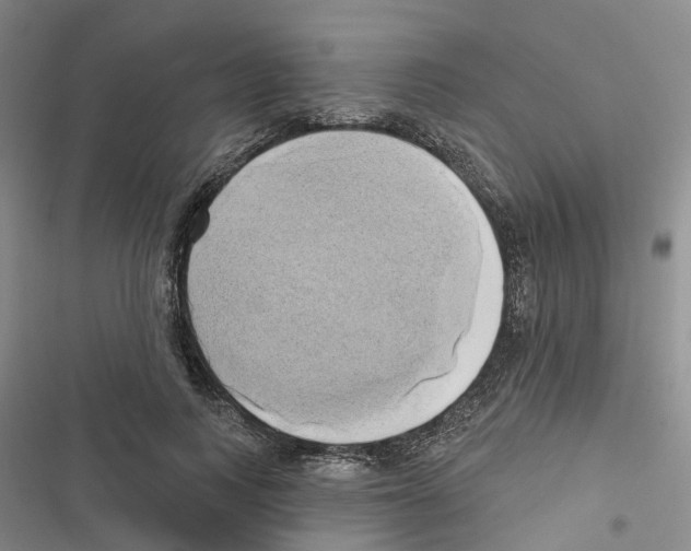 X0000116830743201001151226