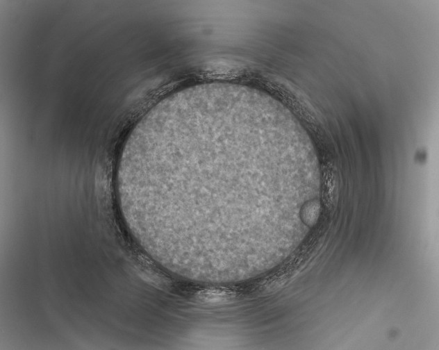 X0000116830745201001151226