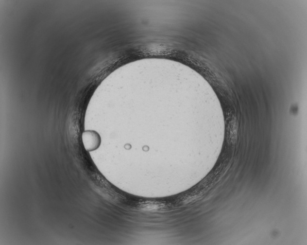 X0000116830746201001151226