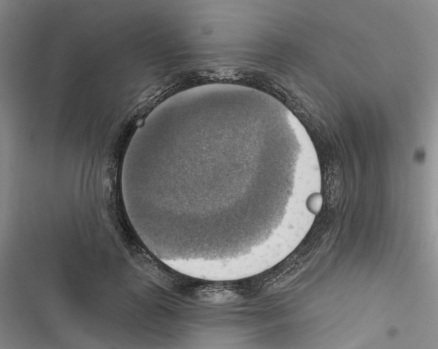 X0000116830747201001151226