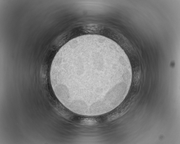 X0000116830749201001151226