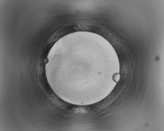 X0000116830751201001151226