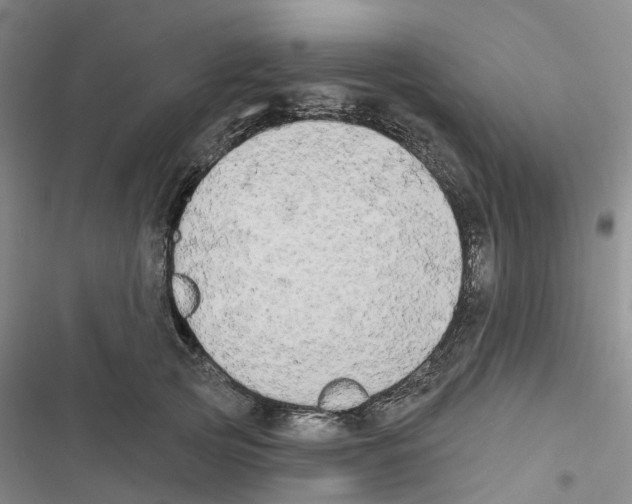 X0000116830753201001151226