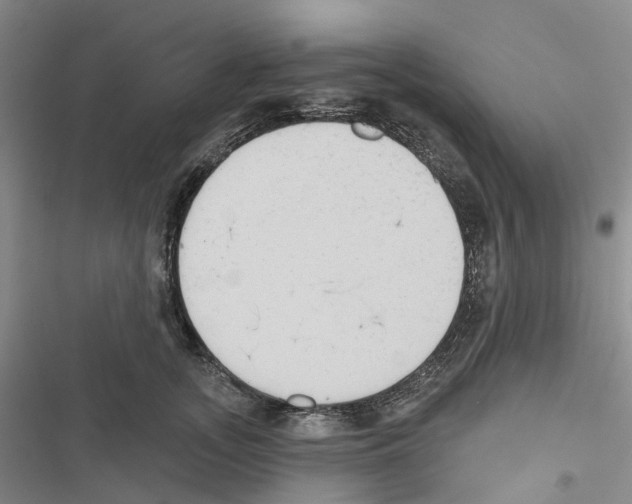 X0000116830755201001151226