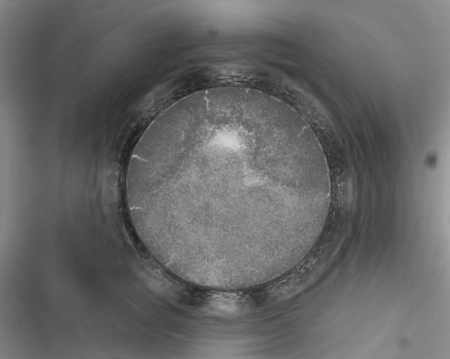 X0000116830757201001151226