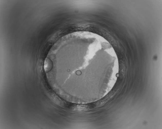 X0000116830758201001151226