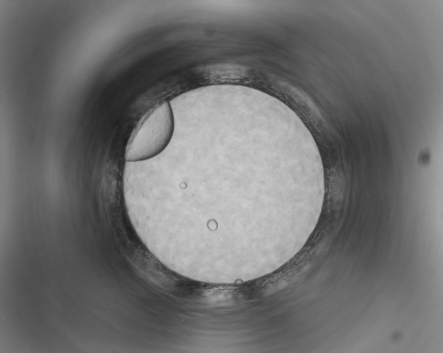 X0000116830761201001151226